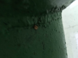 突遇險情  快速反應  力保安全生產