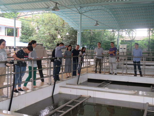 總經理陳筱秋率集團公司安委會成員開展節前安全大檢查