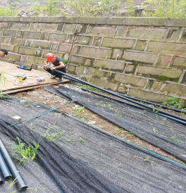 國慶佳節  我們奮戰在一線