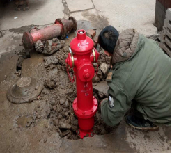 城市“紅衣衛士”的守護者