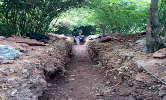 深入施工現場 落實工程情況