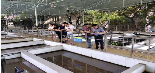 全力以赴保供水 責任在心勇擔當