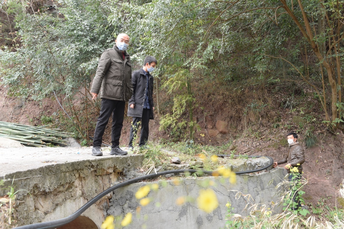 集團公司唐平同志深入栗子村指導疫情防控和脫貧攻堅工作