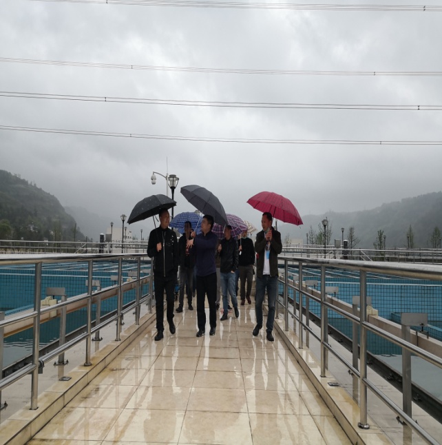 集團領導深入一線督查安全生產工作