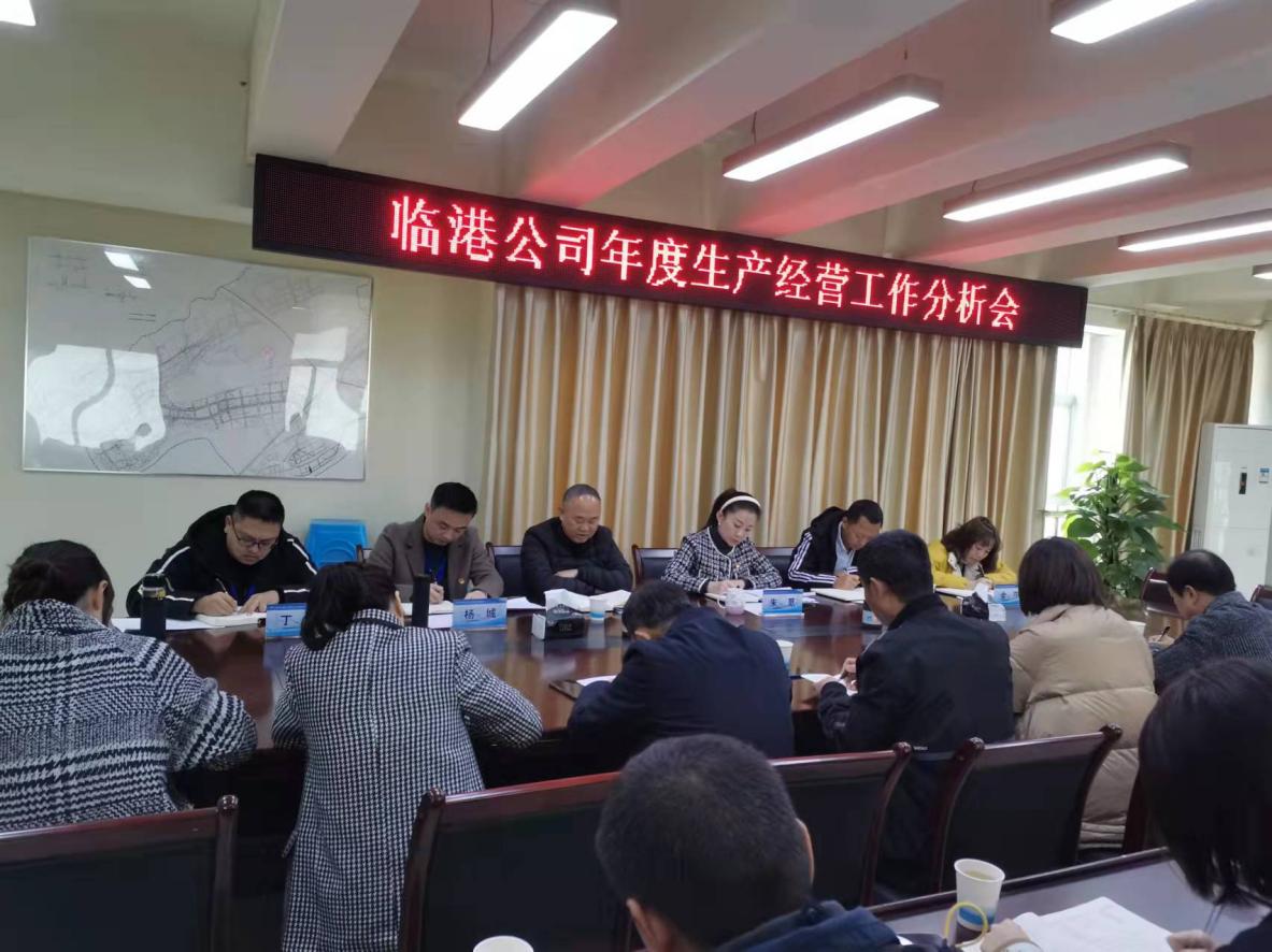 集團公司領導參加臨港公司生產經營工作分析會