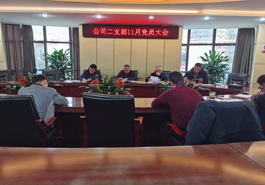 集團公司二支部召開十一月黨員大會暨 宣傳貫徹“新安全生產法”主題黨日活動