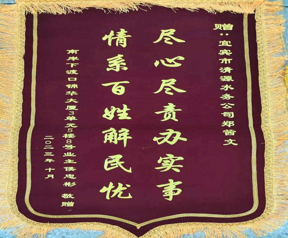 盡心盡責辦實事，為民解憂獲贊揚